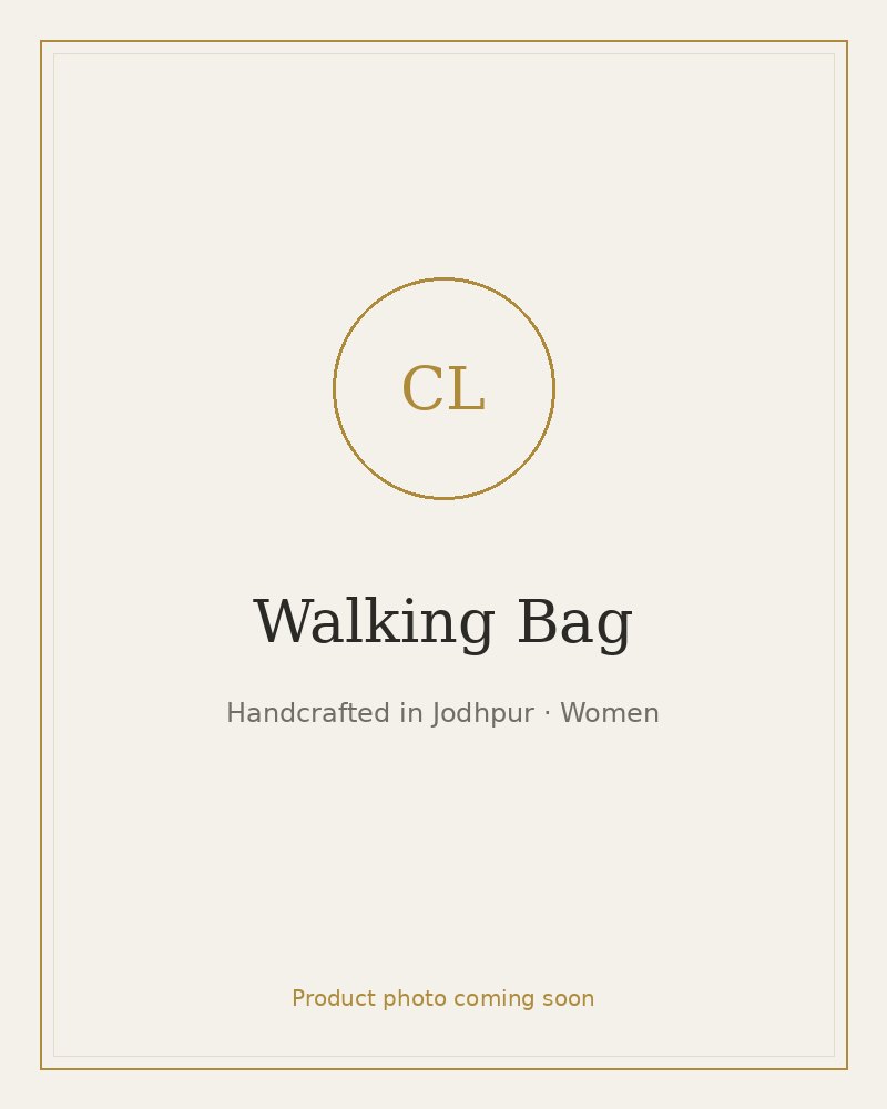 Walking Bag